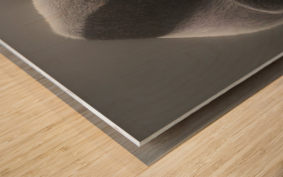 Legacy - Monochrome Symbolic Art Prints Wood print