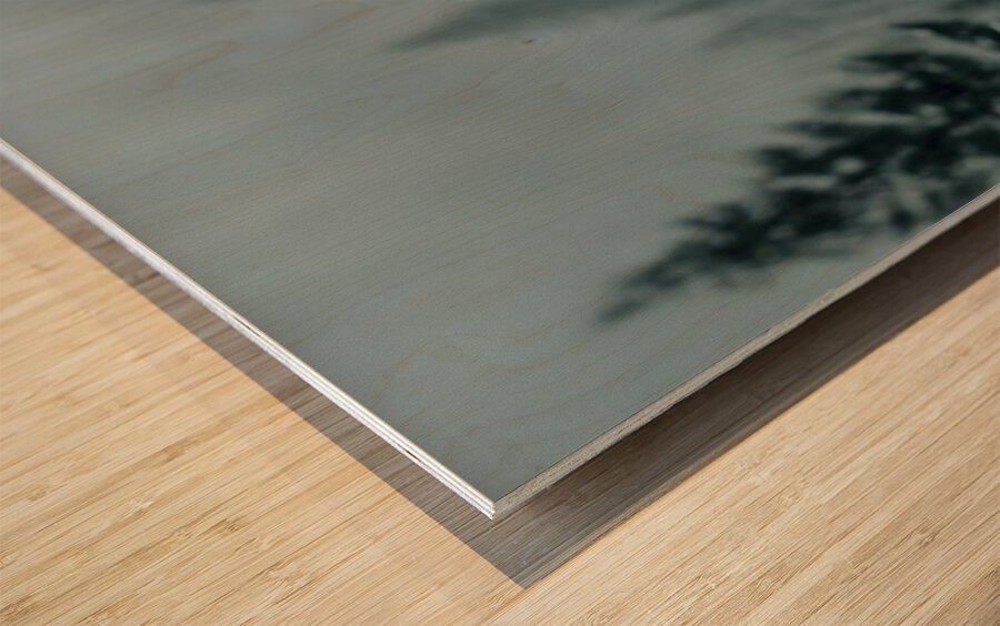 Forest Sentinel – Wildlife Landscape Art Print Wood print