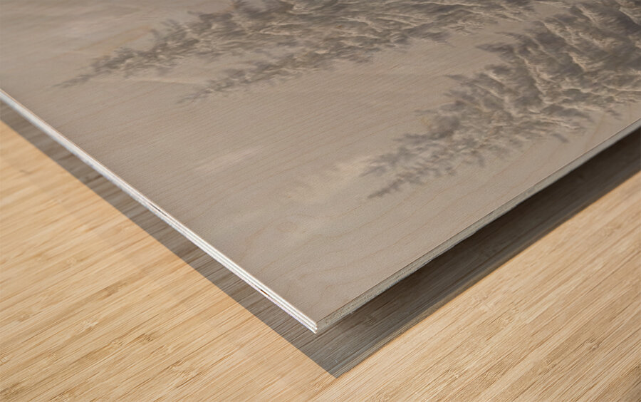 Quiet Companion – Wildlife Portrait Art Print Wood print