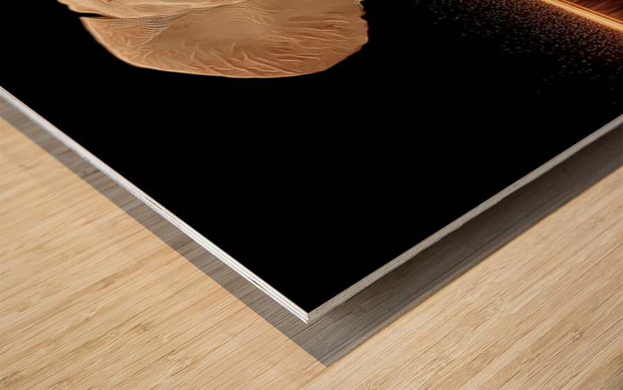 Golden Stillness – Elephant Reflection Print Wood print