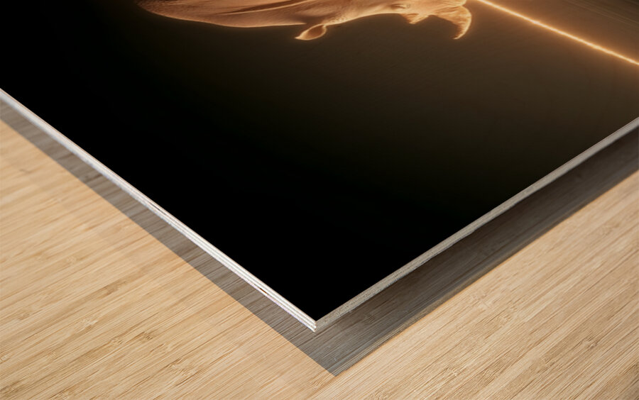 Luminous Giant – Rhinoceros Reflection Print Wood print