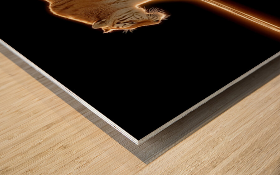 Golden Monarch – Tiger Reflection Print Impression sur bois