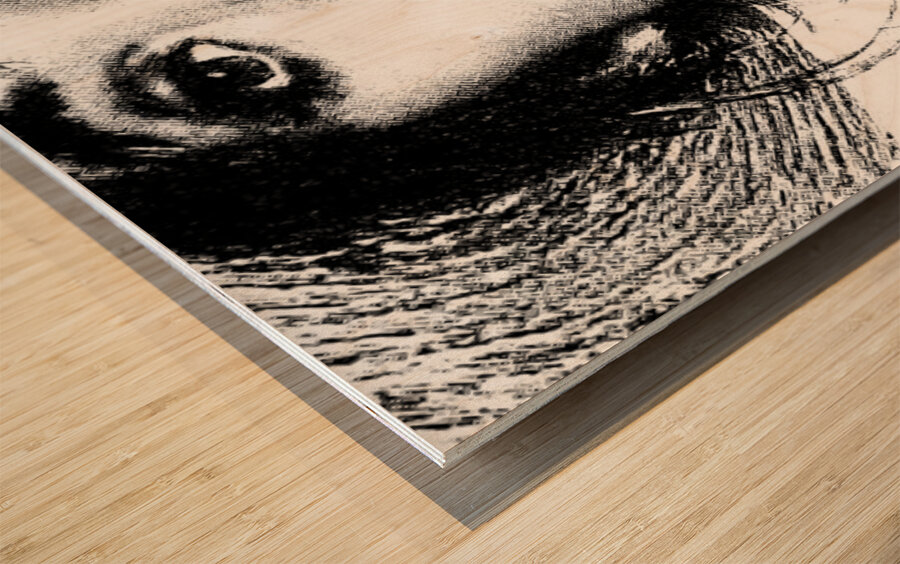 Pop Silence – Pop Art Portrait Art Print Wood print