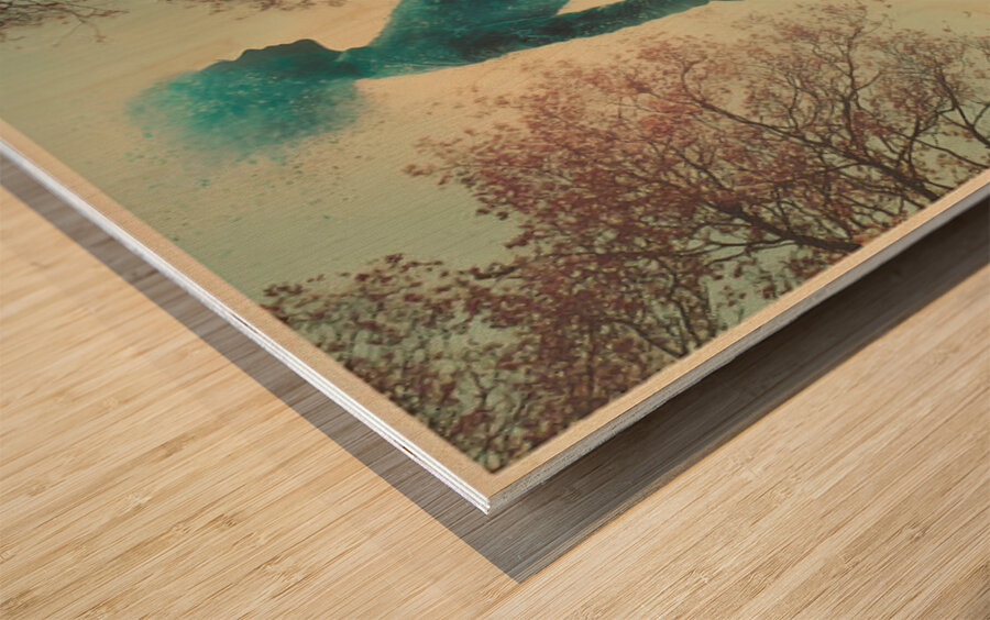 The Lady of Paris – Vintage Fashion Art Print Wood print