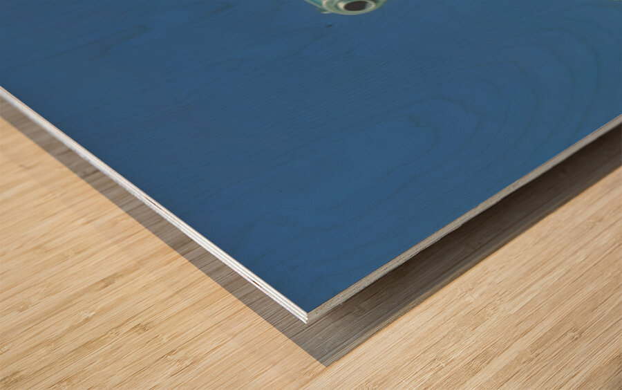 Get Smart – Vintage Pop Fashion Art Print Wood print