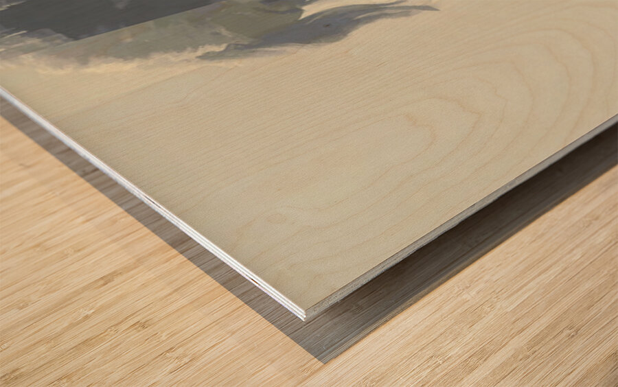 Abstract Portrait in Primary Hues – Women’s Portrait Art Print Wood print