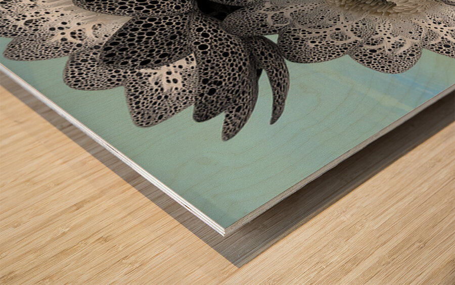 Lace Petal Trio – Modern Lotus Bloom Art Print Wood print