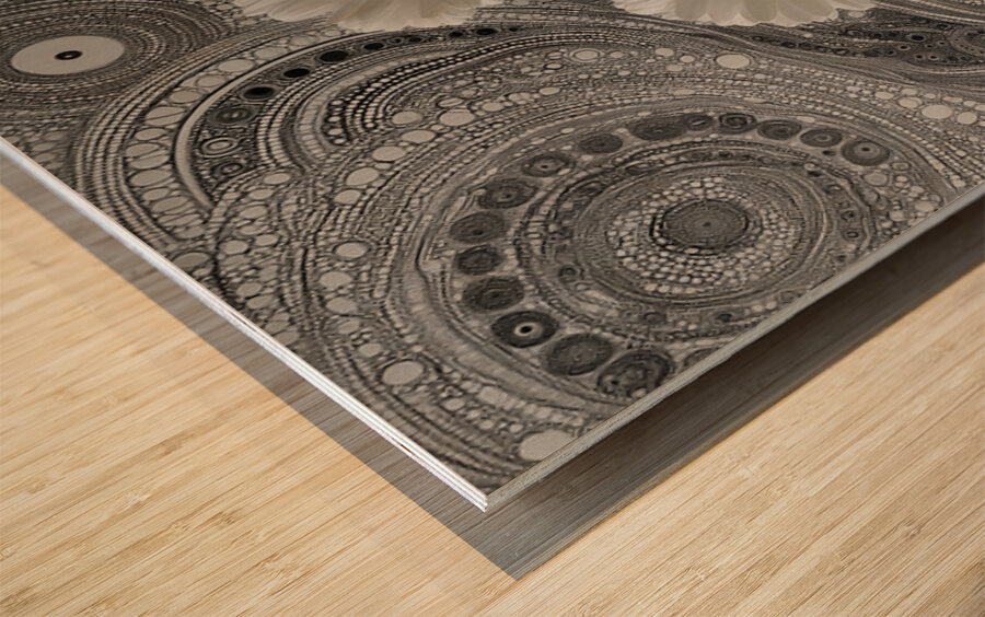 Gerbera – Daisy Flowers in Cosmic Pattern Print Wood print