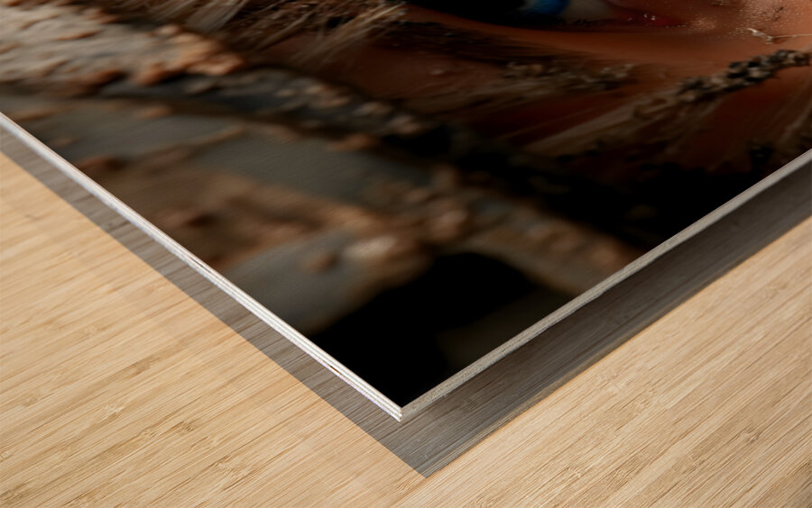 Blue Resolve – Warrior Portrait Art Print Wood print