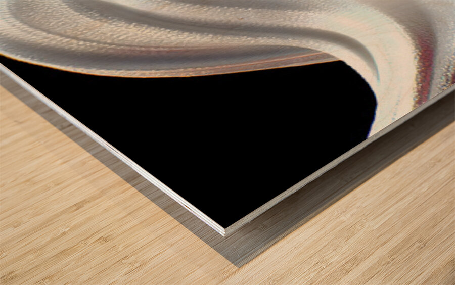 Silver Serpentine – Minimal Monochrome Curve Print Wood print