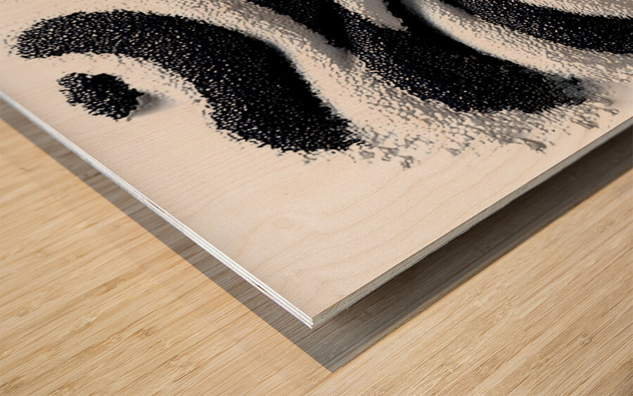 Zebra Orbit – Monochrome Ripple Sphere Print Wood print