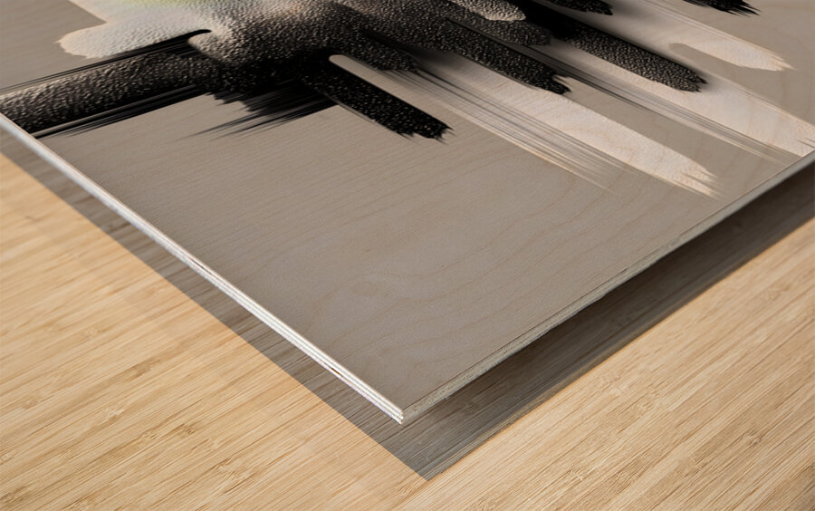 Monochrome Vector Pulse – Minimal Abstract Soundwave Print Wood print