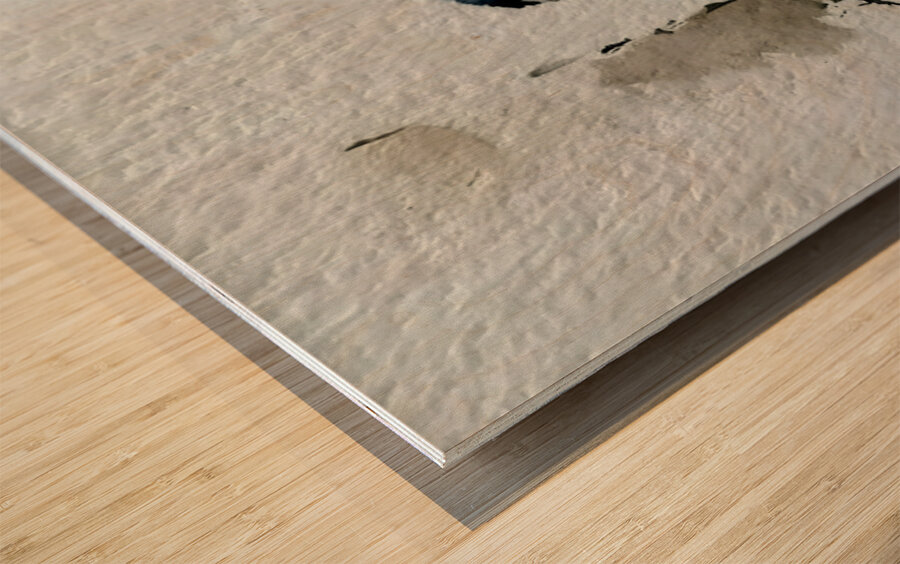 Little Wanderer – Baby Penguin Watercolor Print Wood print