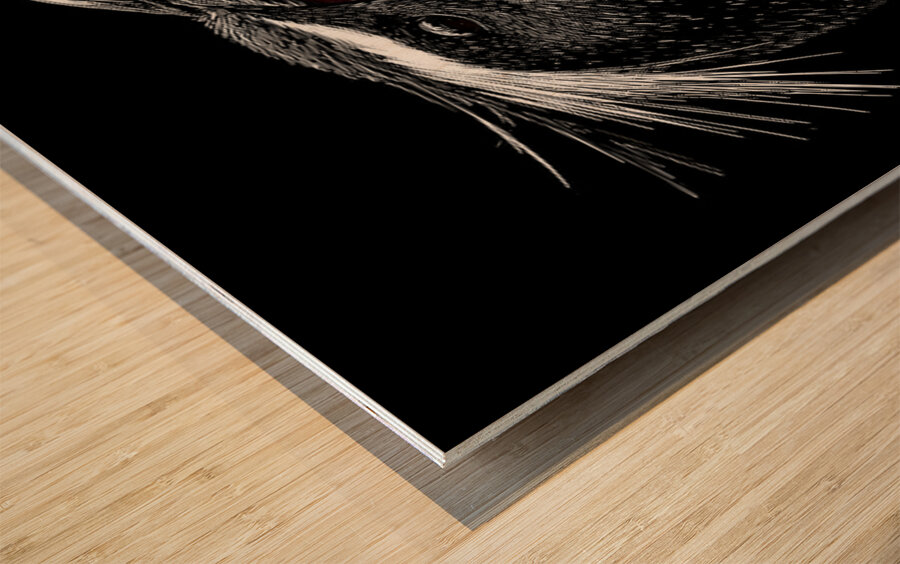 Cry of the Rockhopper – Modern Wildlife Print Wood print