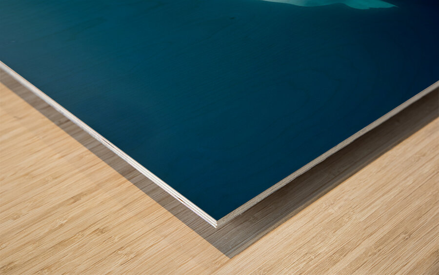 Blue Silence – Belugas in Still Water Print Wood print