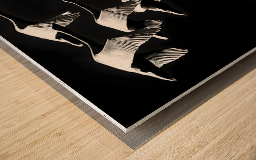 Flight Code – Geese Formation Print Wood print