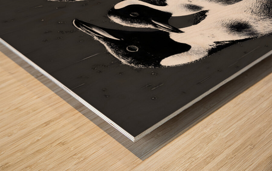 The Council – Emperor Penguins Print Wood print