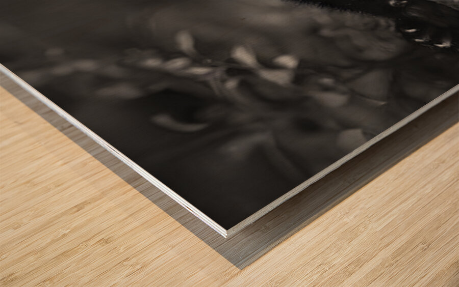 Morning Stretch – Red Panda Monochrome Print Wood print