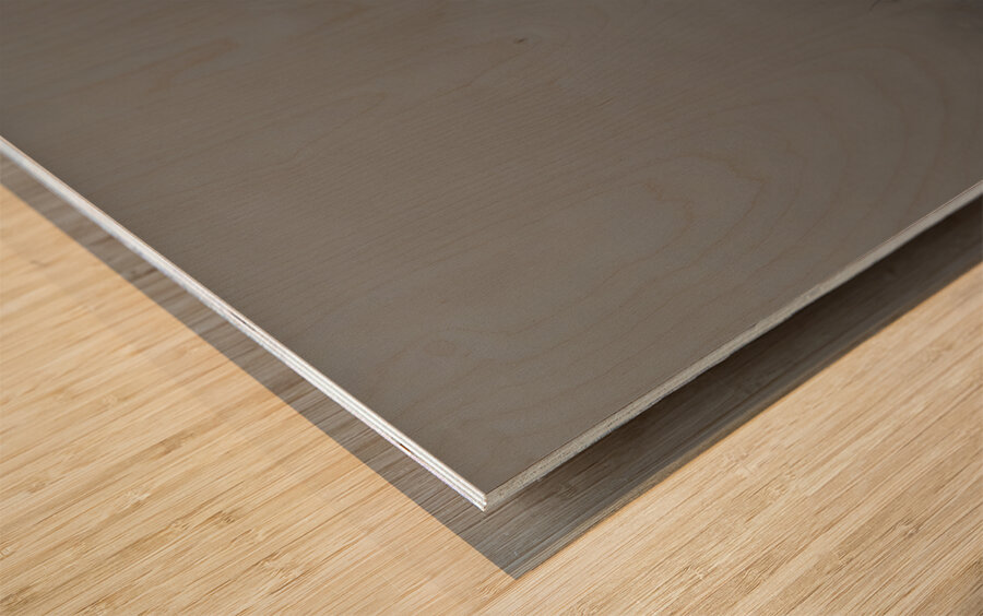 Mistwatcher - Raccoon Print Wood print