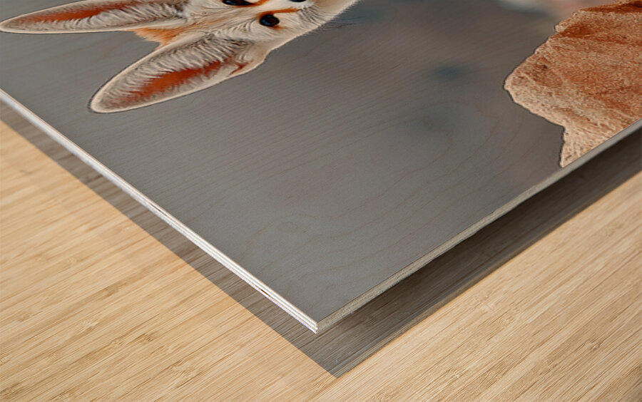 Sand Whisper – Fennec Fox Print Wood print
