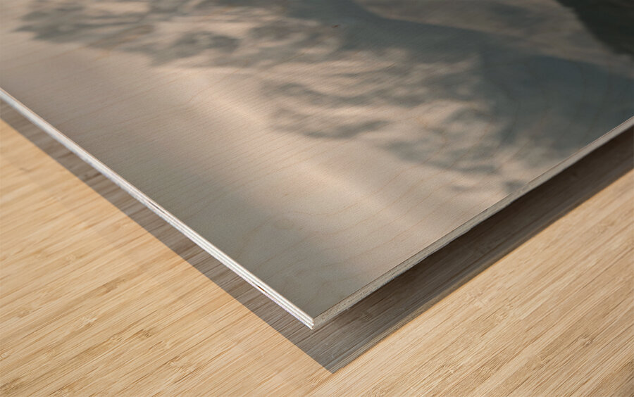 Summit Guardian – Kodiak Bear Print Wood print