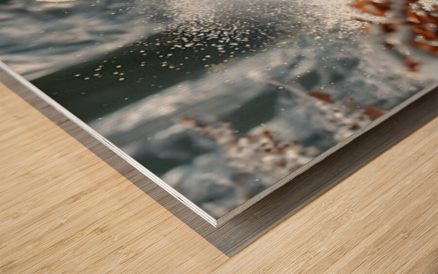 Frost Runner – Winter Bear Print Wood print