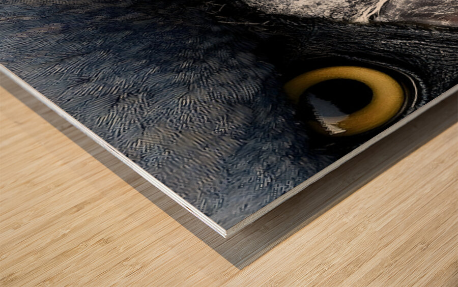 Prehistoric Stare – Present Day Shoebill Print Wood print