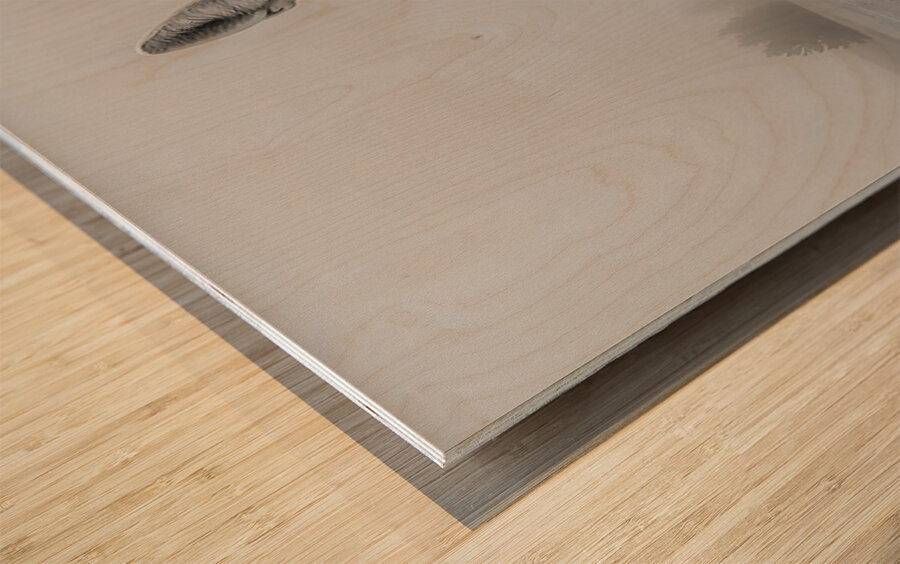 Emberlight – Fennec Fox Print Wood print