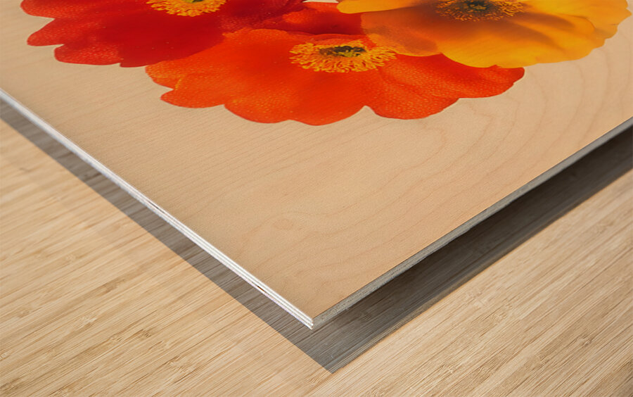 Amber Glass – Bold Bloom Print Impression sur bois
