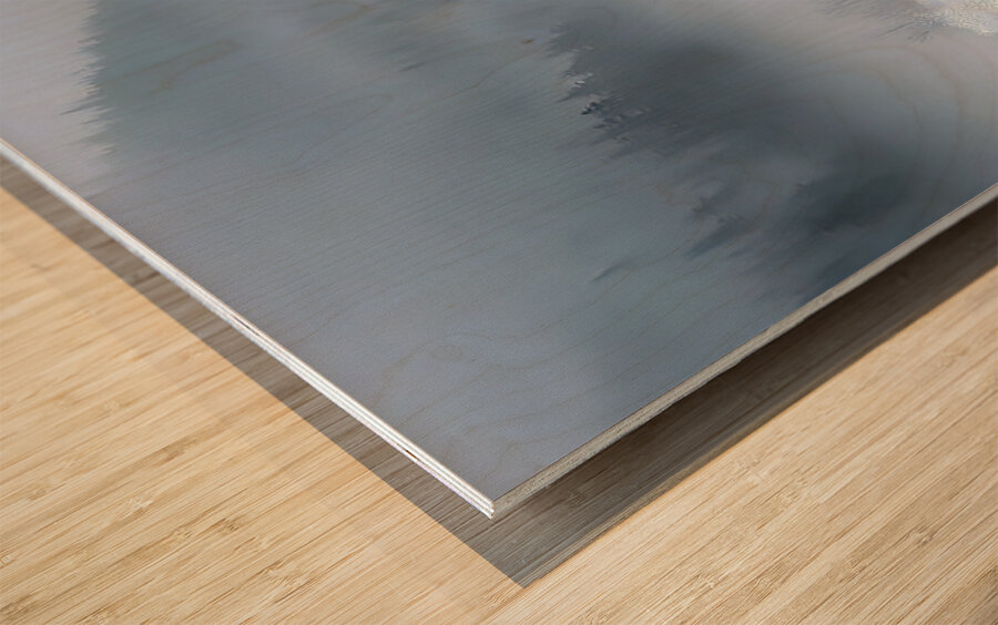 Whispers of the Sea – Orca in the Mist Print Wood print