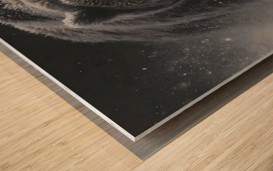 Thunder in White – Bear in the Snow Print Wood print