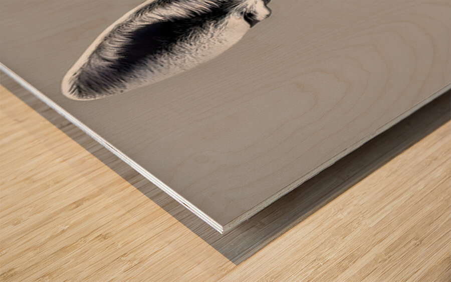 Loud and Clear – Fennec Fox Portrait Print Impression sur bois