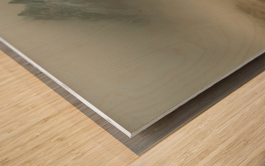 Spirit of the North – Grizzly in the Mist Print Wood print