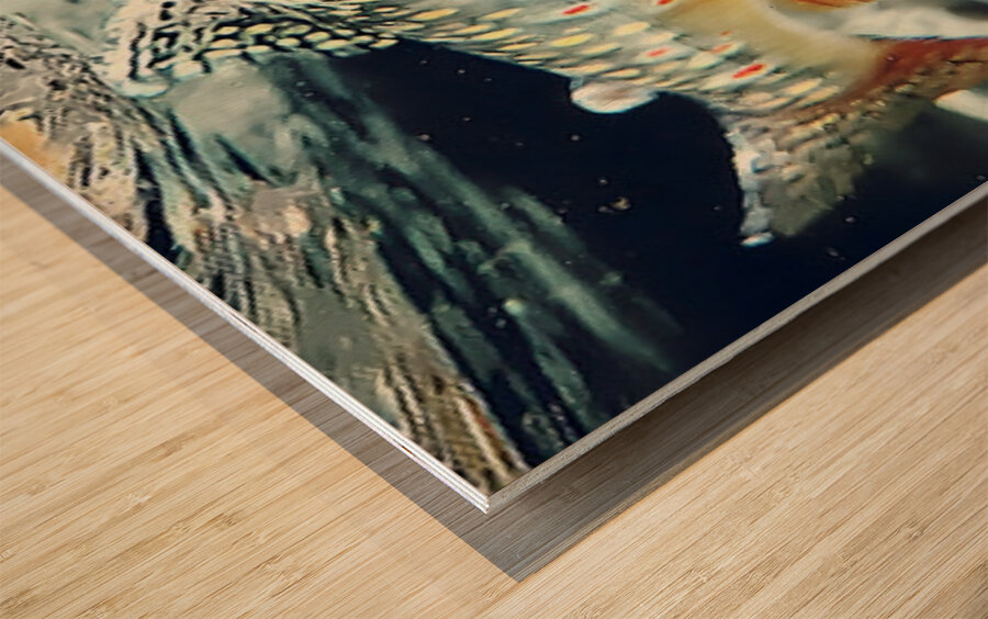 Into the Current – Trout Print Impression sur bois