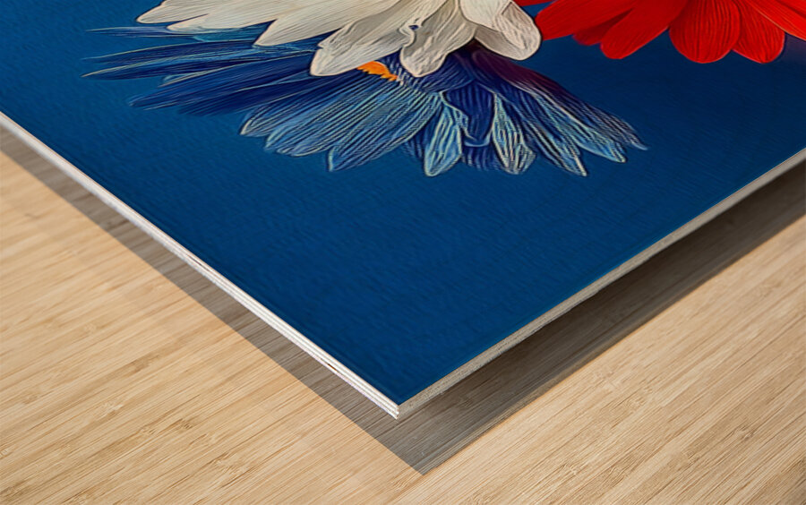 Patriotic Daisies – Red White Blue Floral Print Wood print