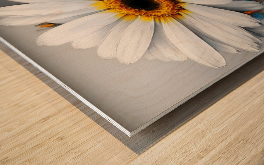 Dripping Daisies – Melting Floral Art Print Wood print