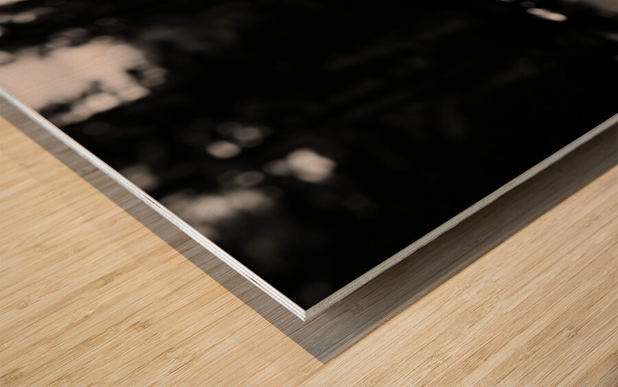 Wild Solitude – Orange Flower in Mountain Meadow Print Wood print