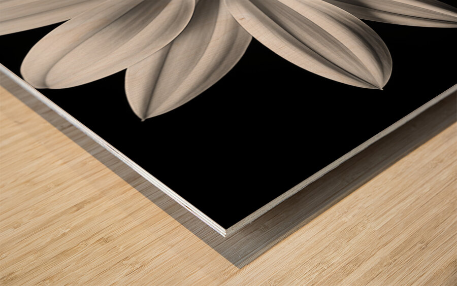 Echo in Silence – Monochrome Bloom Print Impression sur bois