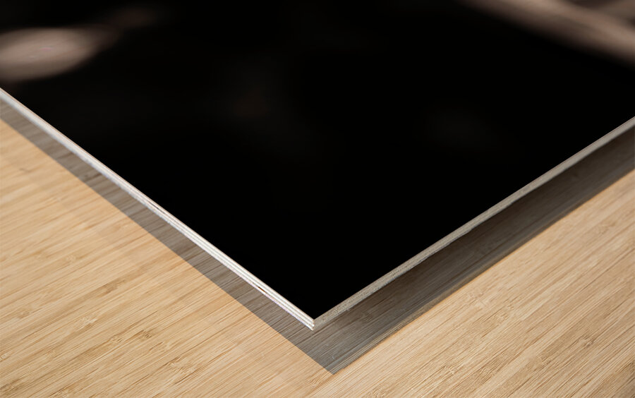 Defiant Bloom – Yellow Flower on Fence Print Wood print