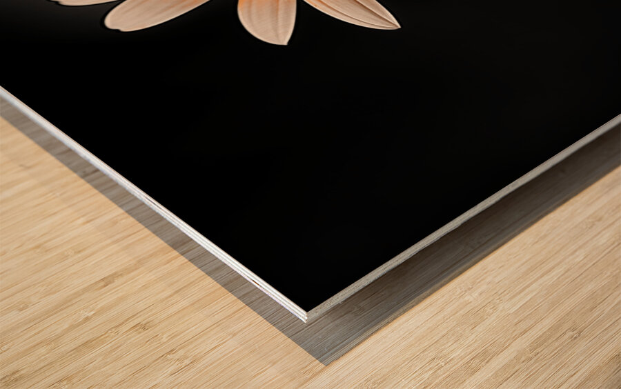 Amber Echo – Warm Toned Floral Minimalist Print Wood print