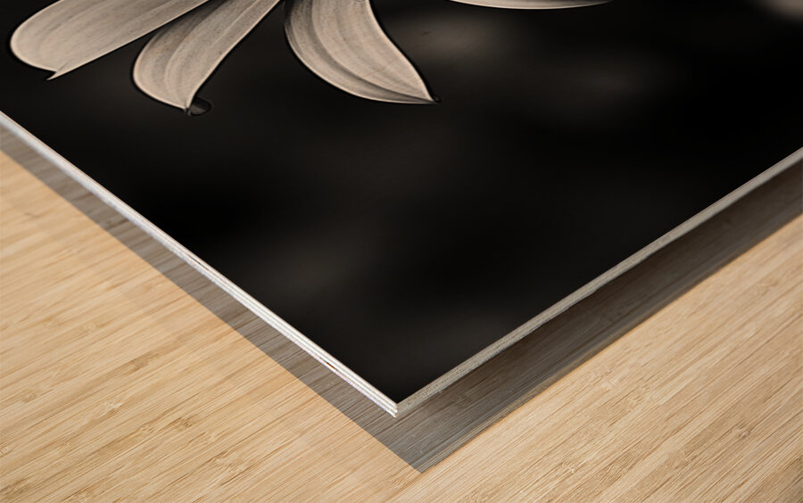 Twilight Petals – Black and White Floral Portrait Wood print