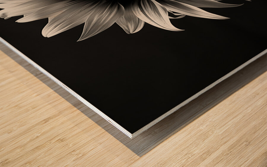 Obsidian Petals – Dark Botanical Fine Art Print Wood print