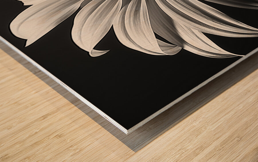 Shadow Bloom – Black and White Sunflower Portrait Print Wood print