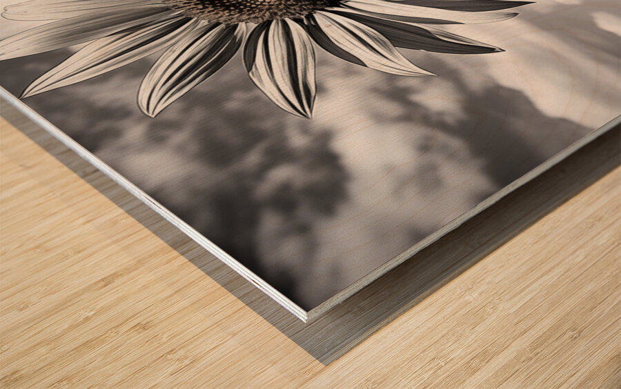 Skyward – Monochrome Sunflower Landscape Print Wood print