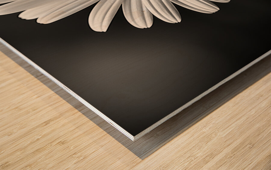 Petals of Memory – Vintage Daisy Landscape Print Wood print