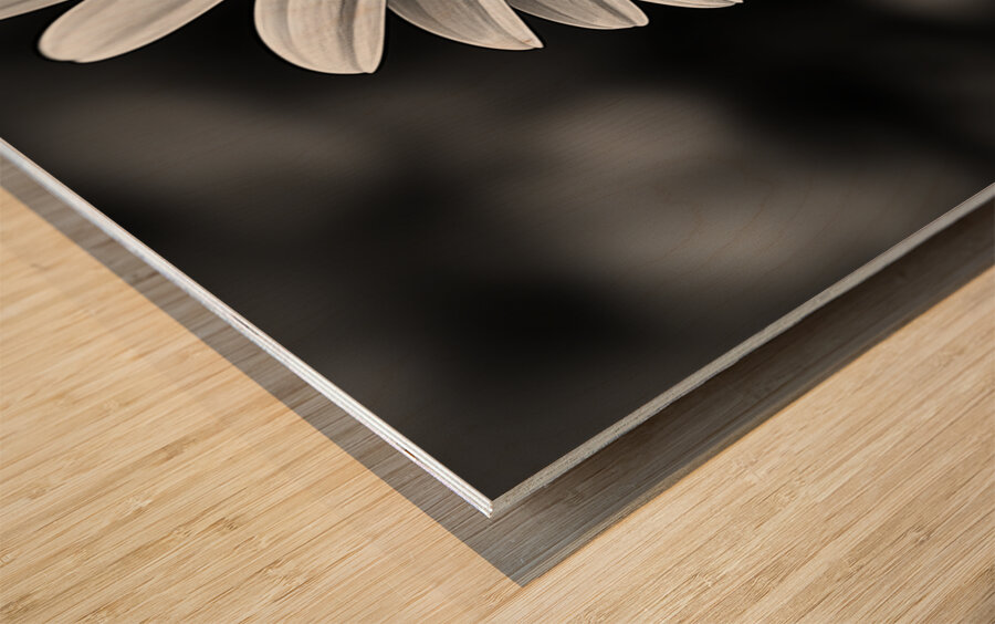 Amber Whisper – Yellow Petal Accent Print Wood print