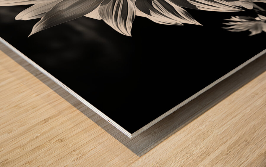 Golden Accent – Part-Color Sunflower Study Print Wood print