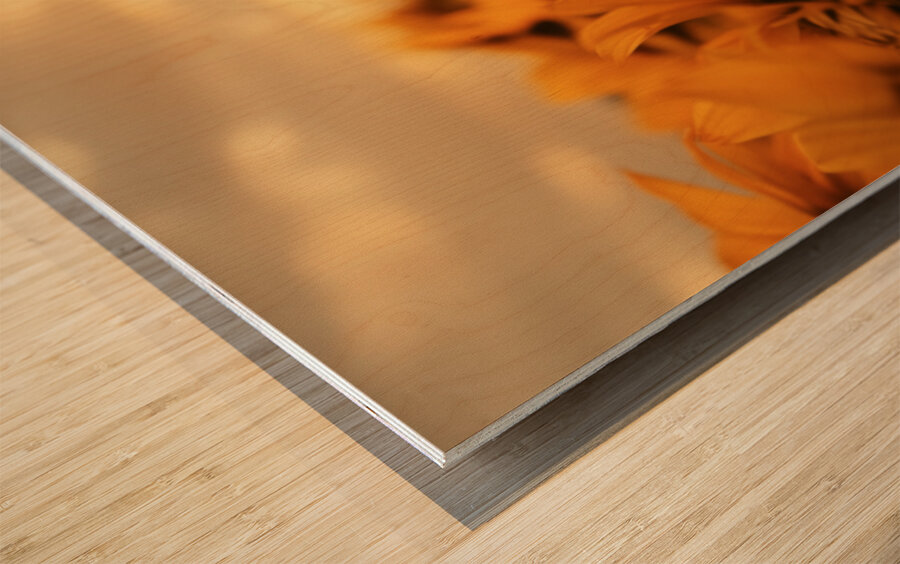 Golden Haze – Radiant Sunflower Morning Print Impression sur bois