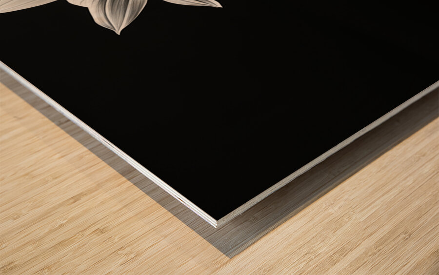 Quiet Majesty – Monochrome Sunflower Study Print Wood print