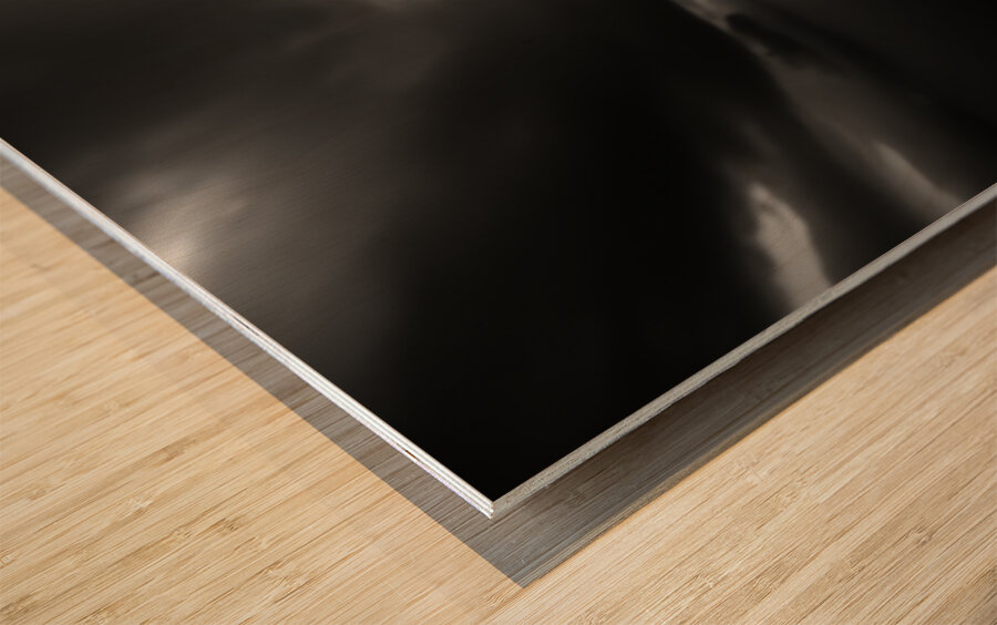 Hope in Bloom – Selective Color Sunflower Print Wood print